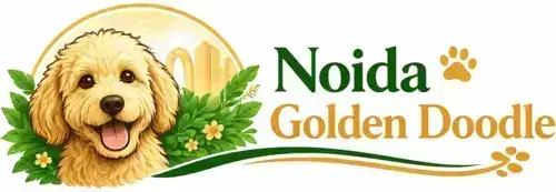 Noida Golden Doodle
